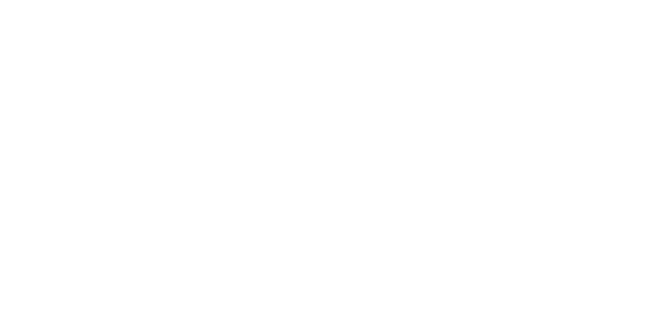 SafeSmart Identity Stacked Reversed (RGB)